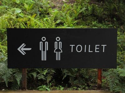 About Thornton Portable Toilets Rental - construction toilets experts in Thornton,co